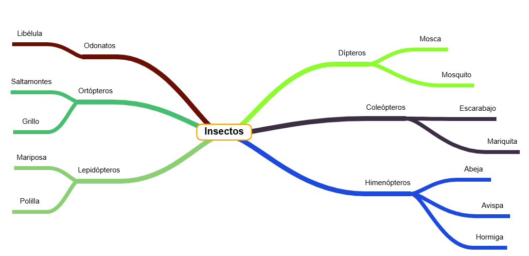 Clasificación de insectos
